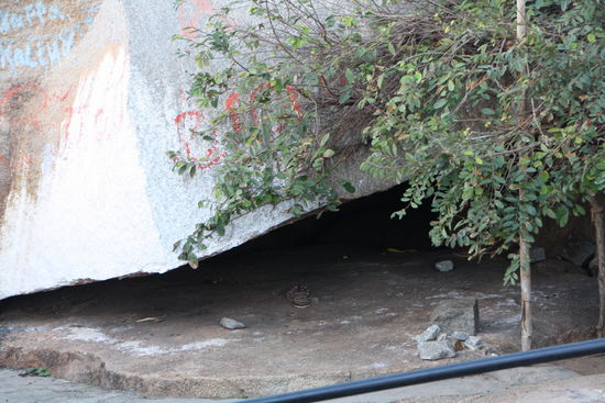 Da, unter dem Felsen liegt doch zusammengerollt eine Schlange ...