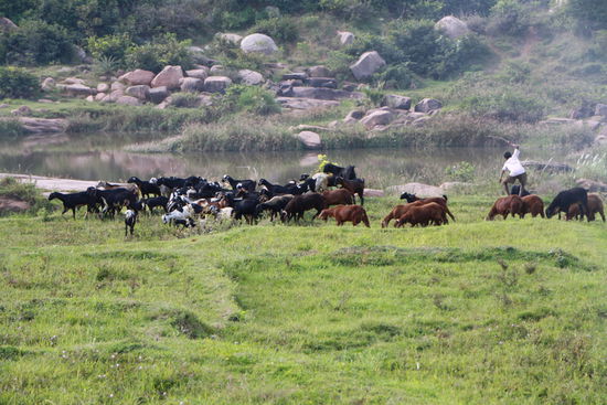 Ziegenpeter ist auch schon unterwegs.