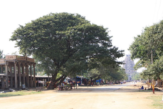 Die Hauptstrasse in Hampi vor dem grossen Virupaksha-Tempel.