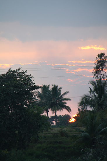 ... sich einfach nicht ...