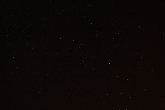 Orion ist auch hier zu sehen. Allerdings das einzige Sternbild das ich gefunden habe.
Mit den Berichten bin ich etwas ins Hintertreffen geraten. Inzwischen ist Linda in Chennai angekommen und wir haben gemeinsam bereits das Indira Gandhi Wildlife Sanctuary besucht und sind nun schon in Madurai. Genaueres davon aber später.
Liebe Grüsse von uns beiden aus Madurai.