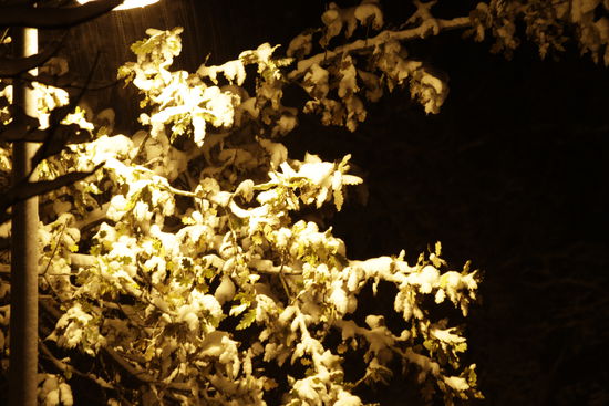 Es schneit, es schneit...