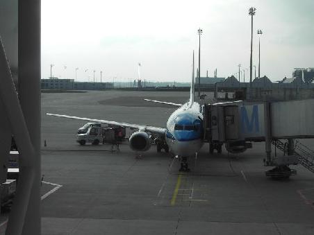 der "vogel" nach AMSTERDAM