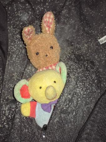 die zwei wussten schon, warum sie heute lieber in der jacke blieben ...