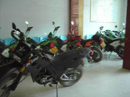 die mopeds schlafen in der lobby!