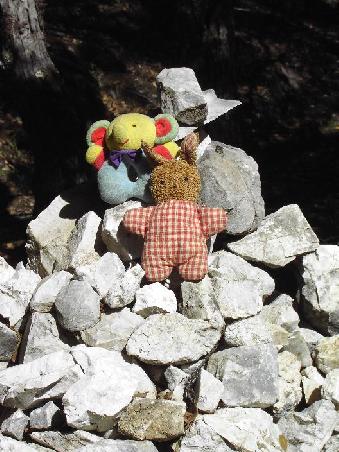'fant/hase als alpinisten, beim gipfelsieg