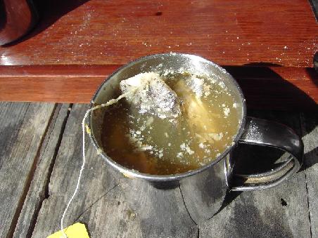 ginger-lemon-honey-tea sieht nicht besonders aus, aber schmeckt!!!