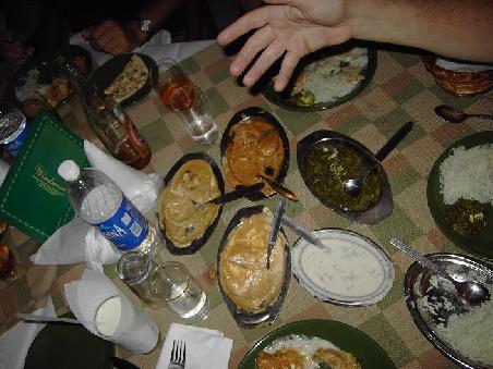 alles vegetarisch *lecker* und indisch beim begruessungsessen, die hand ist uebrigens die von heinz