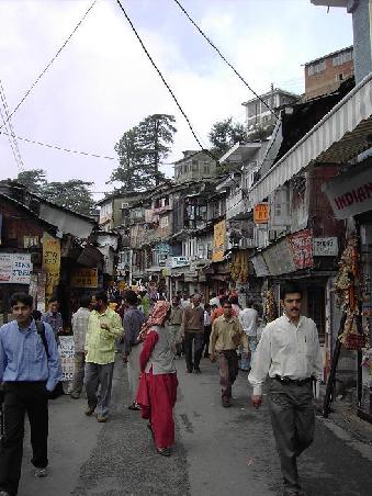 shimla ...