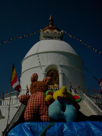 the world peace pagoda, pokhara