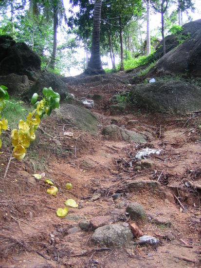 Tempoverschärfung...