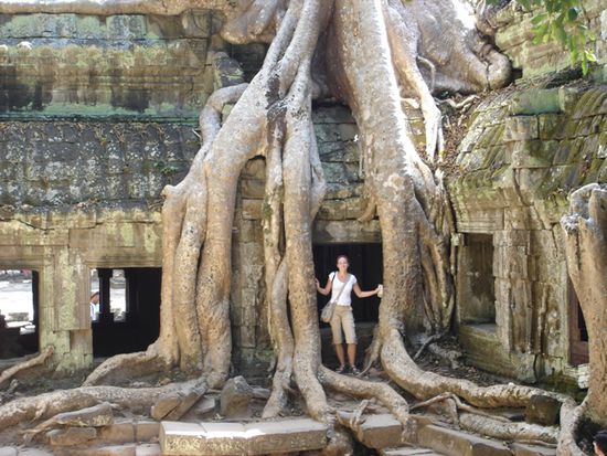 im Tempel "Ta Phrom"