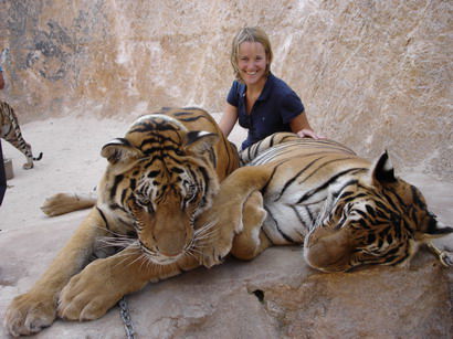 das erinnert mich doch glatt an die Arbeit .... be a tiger!
