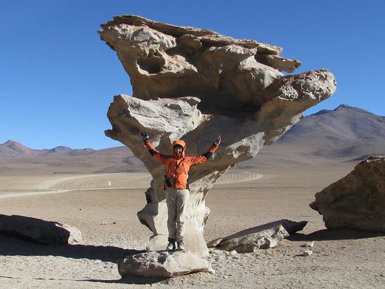 arbol (Baum) de piedra