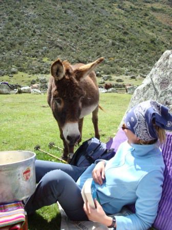 Sabine und ihr neuer Verehrer "Juan Burro"