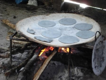 Tortillas aus blauen Mais (ich wusst gar nicht, dass den gibt)
