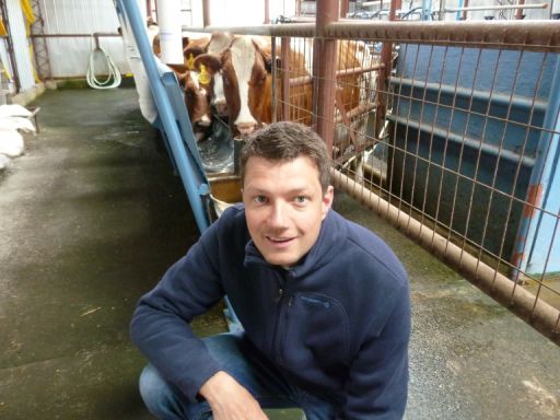 Torsten besichtigt den Kuhstall der Farm ...