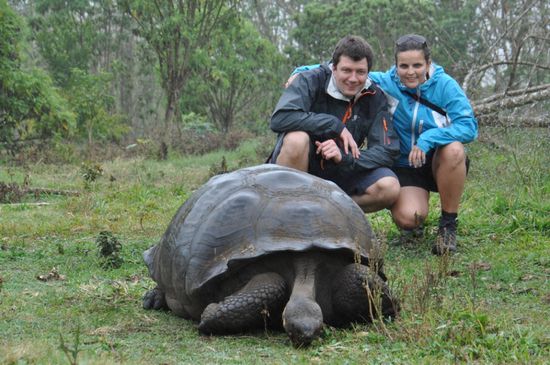 Diese Giant Turtoise erhohlt sich von ihrem langen Aufstieg ins Hochland und lässt sich das saftige Grün schmecken....