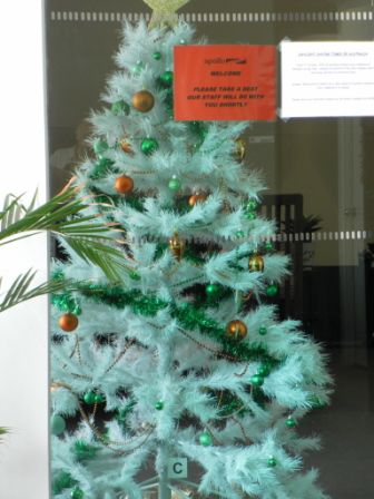 Morgens um halb acht im Camper-Verleih. 30 Grad, aber Weihnachtsbaum