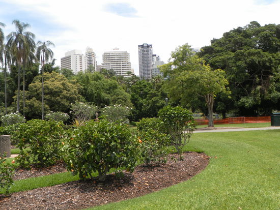 ein toller Botanischer Garten, mit Blick auf die Skyline. Schöner Platz für eine Mittagspause