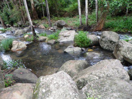 Rock Pools...
