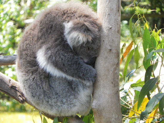 einfach mal abhängen