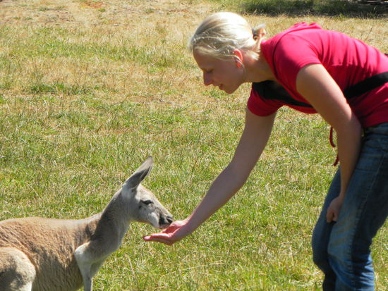 Ein bisschen Bestechung...