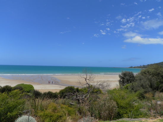 Als Kontrast zur Stadt heute mal wieder grüne Natur, blaues Meer und weißer Strand...
