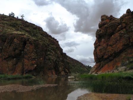 Glen Helen Gorge - hier sollte es langgehen, aber die Überflutung hat uns den Weg abgeschnitten