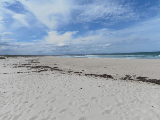 Mittagspause in Forster-Tuncurry