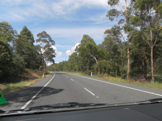 ab durchs Buschland - und immer auf die Kängurus achten, besonders "from dusk till dawn"