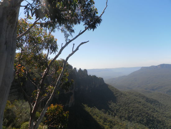 gut zu sehen: der blaue Dunst