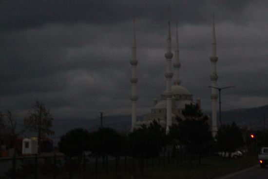 An der Schwarzmeerkueste