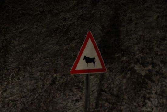 man hüte sich vor der gemeinen Bergziege