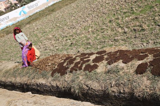 Erneuerbare Energien: Brikettherstellung aus Kuhfladen