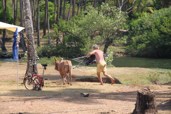 Mit ihm werden wir...