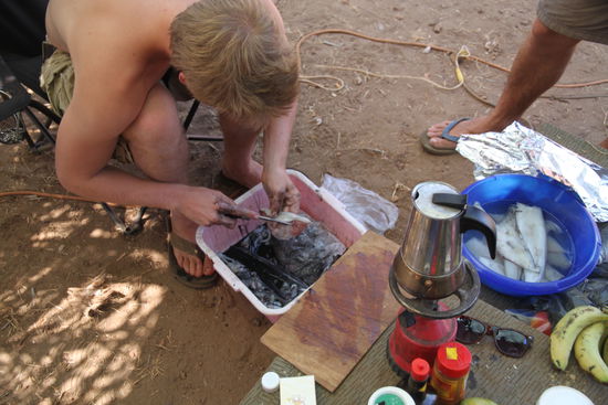 Ausnehmen der Tintenfische. Am Abend gabs frische Calamares
