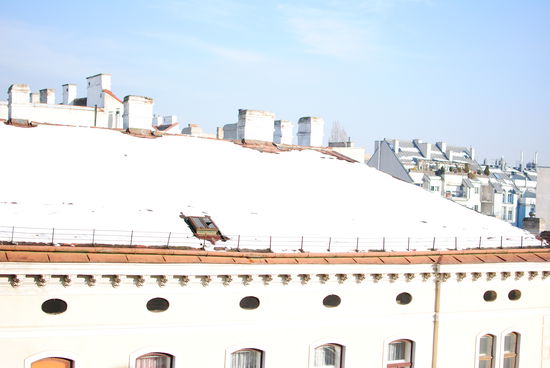 8. Dezember 2010, Wien