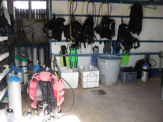 hier zumindest nicht