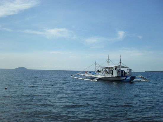 die wäre schön gewesen, unsere war etwa ein Fünftel