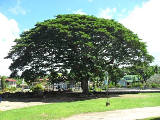 daneben von gleich nebenan