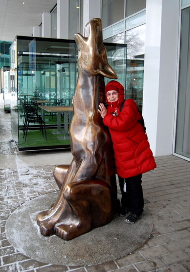 Wolf vor einem Hotell am Weg