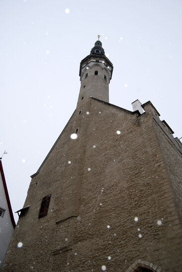 gleich danach hatten wir Tallinns Rathaus erreicht