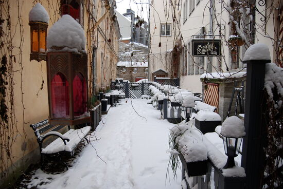 Saiakangi salong im Schnee