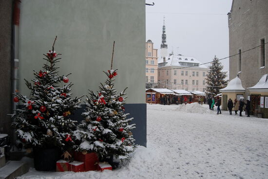 bald hatten wir wieder den Marktplatz erreicht