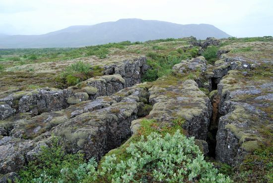 überall viele Spalten