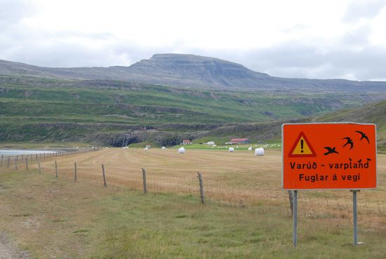 Warnung vor Tieffliegern