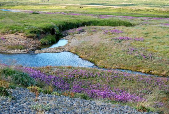 nun geht`s von den Fjorden wieder ins Gebirge