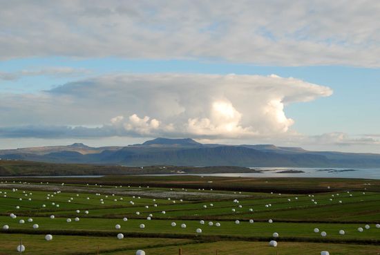 und dann wieder ans Meer