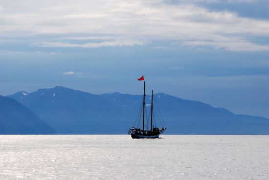 auf See zur Walbeobachtung